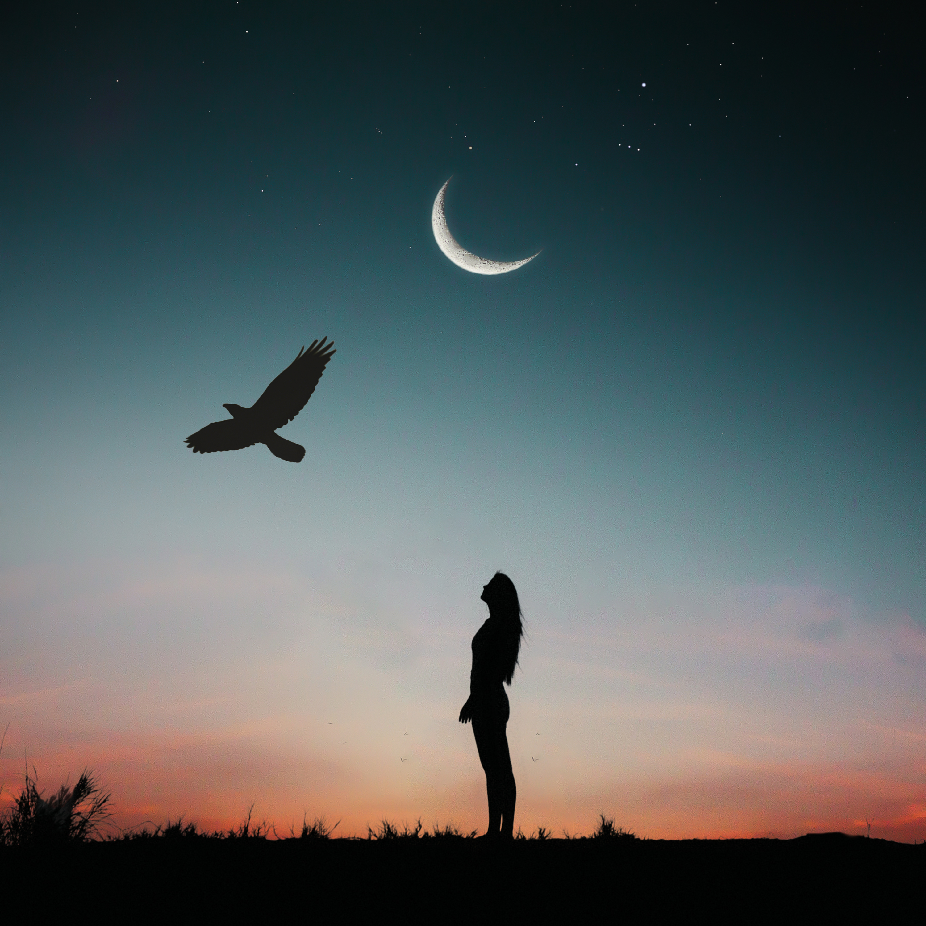 Life is Short Birds are Flying